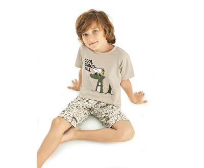 Пижама для мальчика Donella арт. 11557
